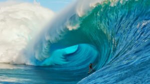 Riding the WAVE: A Real Path to Conflict Resolution